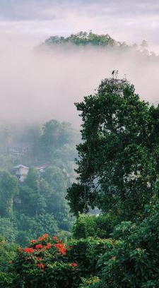 Primrose House | 43 HomeStay