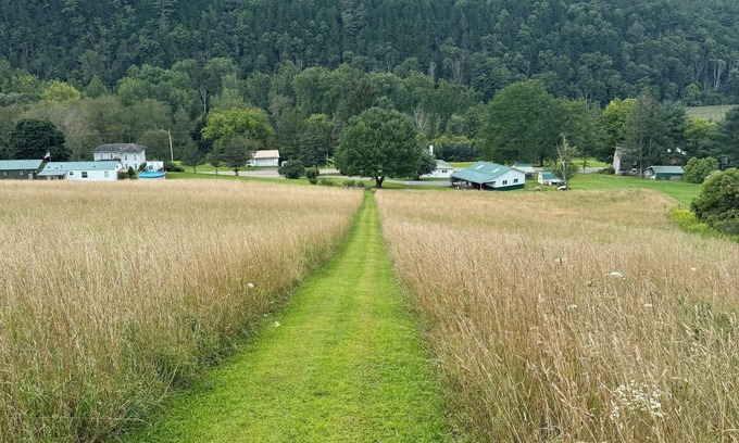 Cameron Cabin | 50 Acres of Adventure: Discover Walter’s Place”