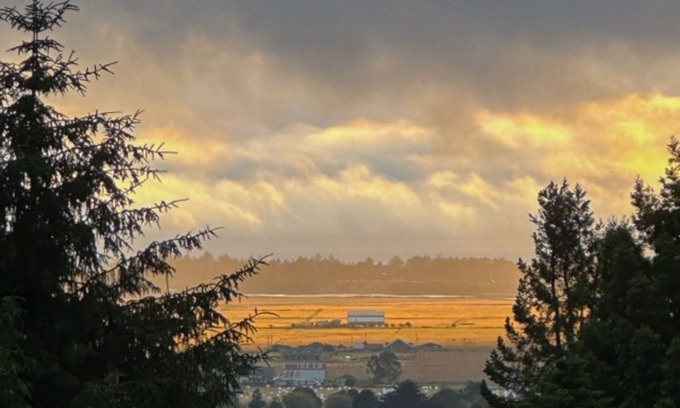 Arcata House | 55% Discount 🌅 Ocean View w Firepit & Redwoods 🌲 Near HSU 🐕👍