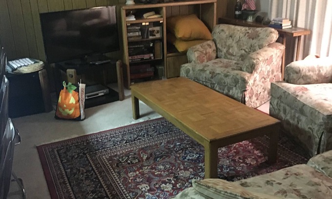 Lake Forest Condo | 70's Cabin/Condo
