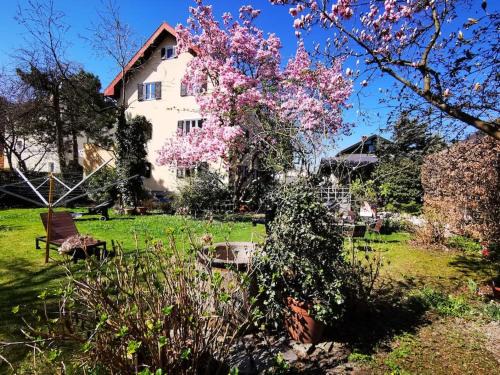 Hallein Apartment | 70qm 3-Zimmer Apartment am Tauernradweg in Hallein bei Salzburg, nahe Berchtesgaden, Roßfeld, Kehlsteinhaus, Obersalzberg, Watzmann, Schönau am Königsee, Bad Vigaun, Schloss Hellbrunn, Burg Hohen Salzburg, Burg Hohen Werfen # Beherbergungsbetrieb OC45