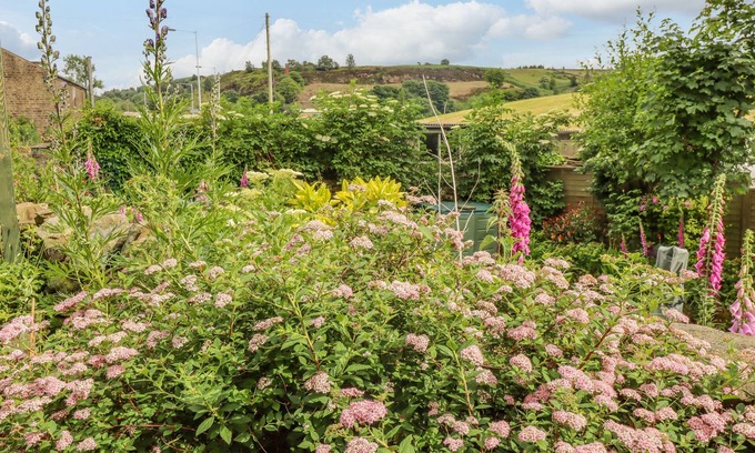 Haworth Cottage | 8 Lune Street