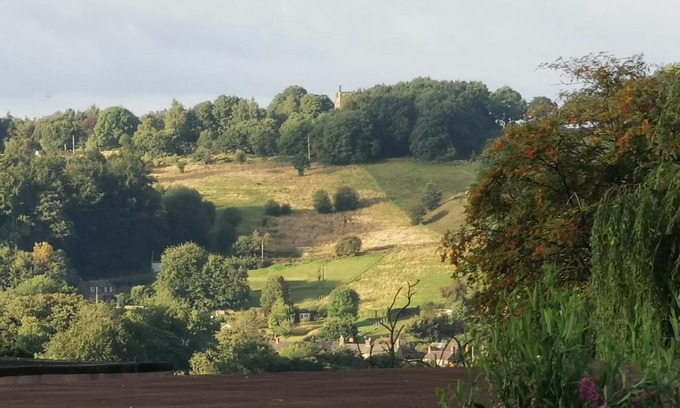 Belper House | A Bird House