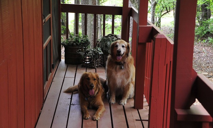 Murphy Cabin | A CABIN ON PARADISE Tranquil cabin in Murphy - Perfect getaway for relaxation