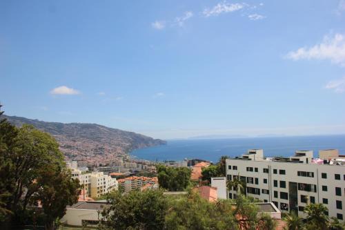 Sao Martinho Apartment | A Casa da Dúlia