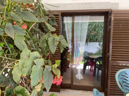 Luz de Tavira House | A casa da Maria