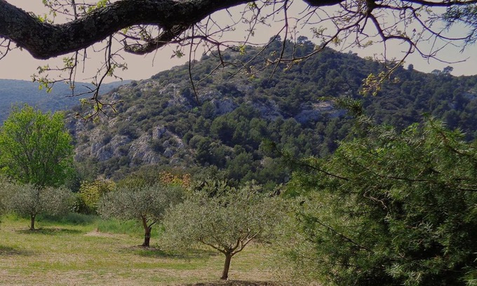 Orgon Other | A DREAM VACATION IN AN IDEAL PLACE IN THE HEART OF THE ALPILLES