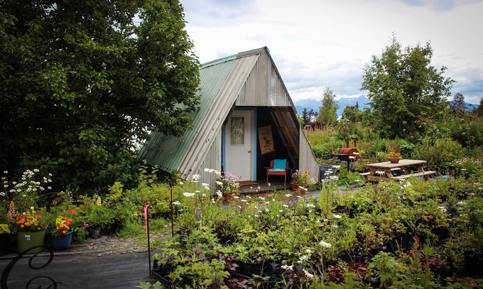 Homer Cabin | A Frame/Cottonwood Cabins