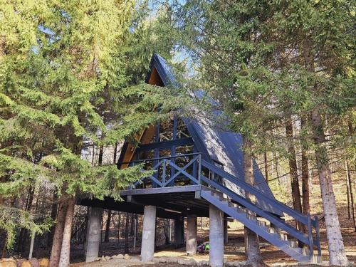 Porumbacu de Jos Ski Chalet | A frame Cuib de Vultur