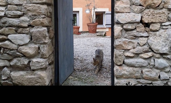 Nyons House | A House In Provence