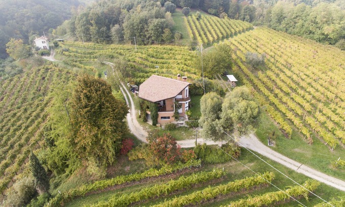 Cornuda House | A house in the vineyard