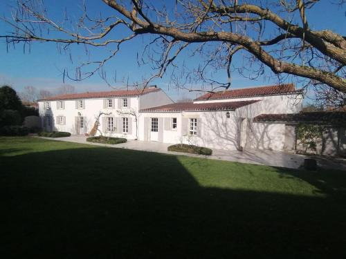 Longeves House | A l'ombre du figuier