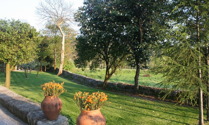 Fafe Cottage | A Modern Twist in the Countryside