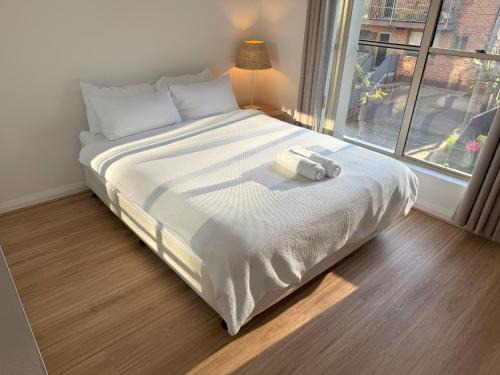 Erskineville Apartment | A Quiet Oasis