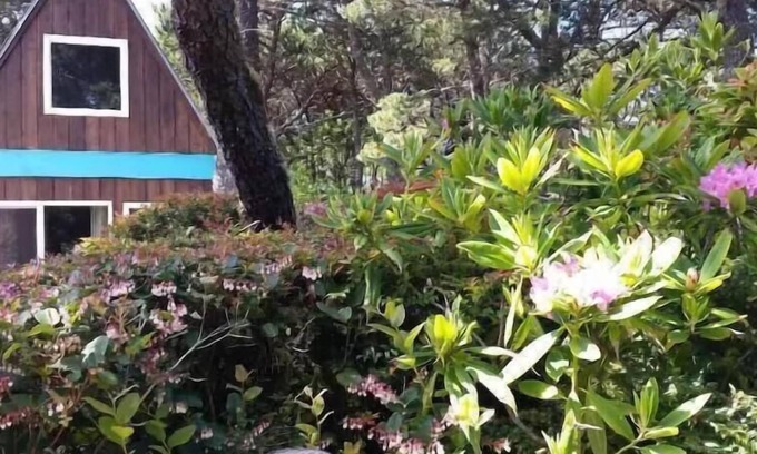 Florence Cabin | A Retro A-Frame within walking distance of Heceta Beach -.Anchor's A-Way: