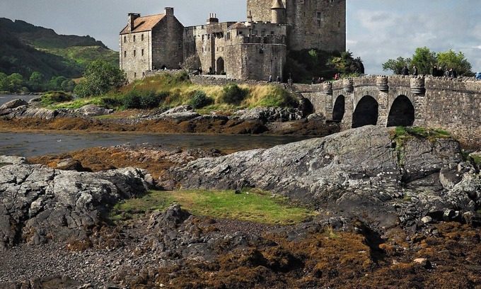 Downtown House | A room in the heart of Redmond, WA