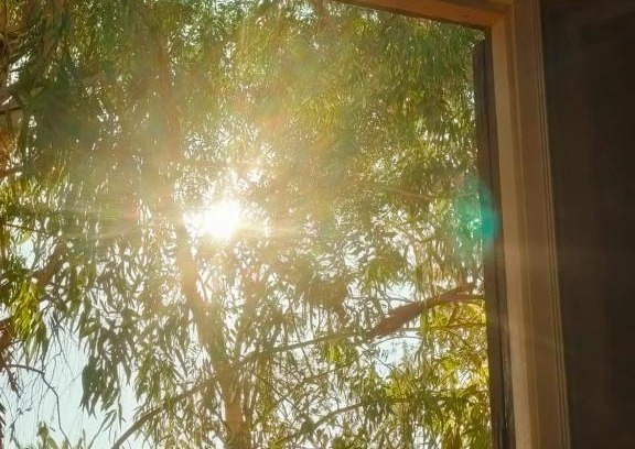 Siwa Bed & Breakfast | A&S House