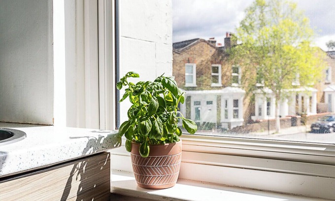 Brixton Apartment | A Tranquil One-Bedroom Flat near Brockwell Park