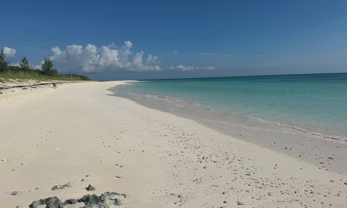 Great Guana Cay Resort | Abaco, Bahamas Newest Luxury Resort! Discover Our 4BR/4BA Poolside villa!