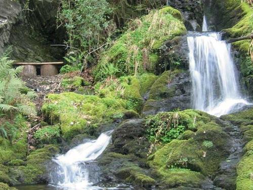Rhiwbryfdir House | Aberdunant Hall Holiday Park - Holiday Accommodation 21962