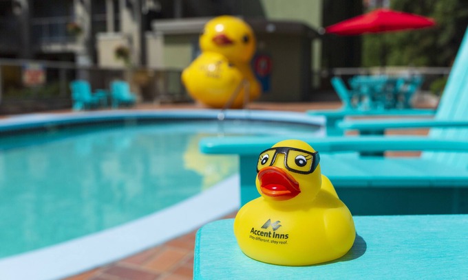 Central Okanagan Hotel | Accent Inns Kelowna