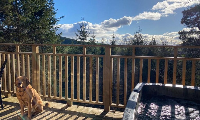Cupar Apartment | Acorn Lodge with Hot Tub