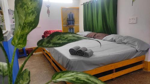 Mysore Cabin | ADH Amilia Gardens