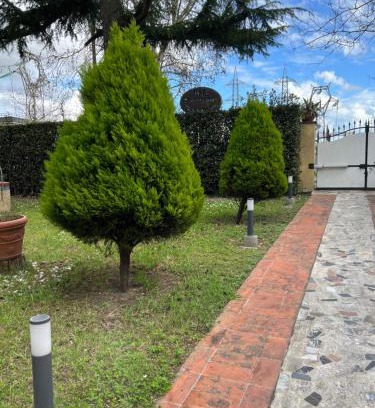 Pisa House | Affittacamere D’annunzio