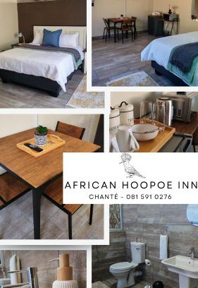 Polokwane Bed & Breakfast | African Hoopoe Inn