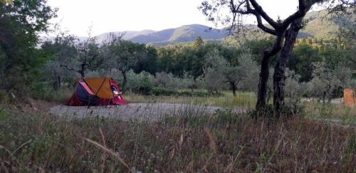 San Giustino Valdarno Other | Agricampeggio Borgo Agna