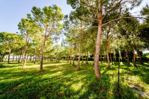 Grosseto Apartment | Agriturismo Bio San Mamiliano
