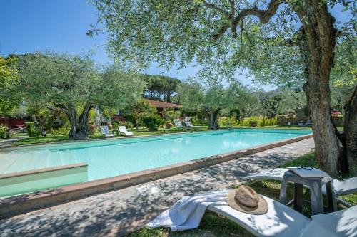 Scarlino House | Agriturismo Buen Camino