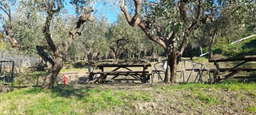 Celle Ligure House | Agriturismo Cele