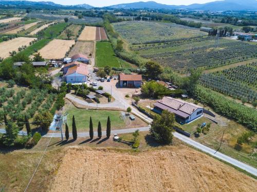 Bibbona House | Agriturismo Ferri