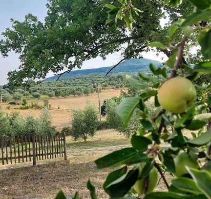Semproniano House | Agriturismo il Cantiniere