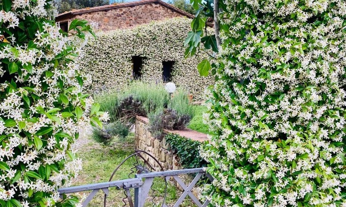 Crocina Other | Agriturismo Piombaia