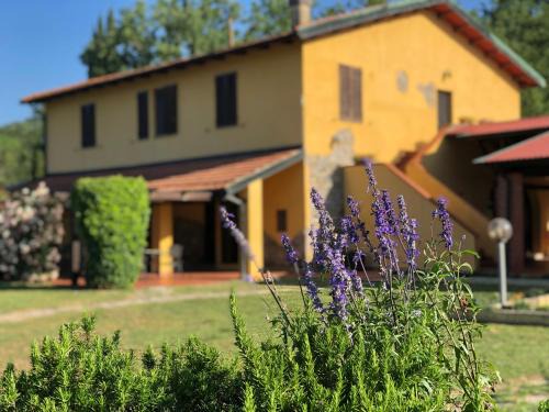 Sassetta House | Agriturismo Santa Lorica