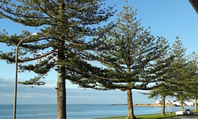 Ahuriri House | Ahuriri Beach Front with stunning sea views