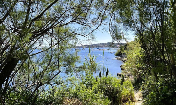 Giens Apartment | Air-conditioned cabin for 7 people, with access to the beach on the Giens peninsula