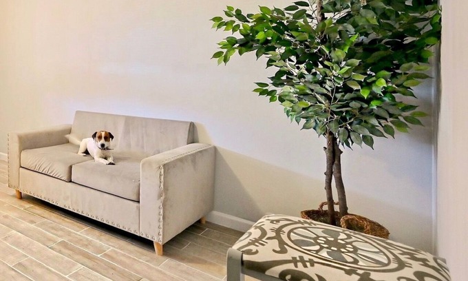 College Park Apartment | Airport Pick Up, Spoiling Apt With an Office, Super Private,