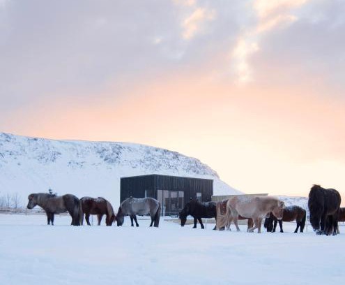 Sveitarfelagid Olfus House | Akurgerði Guesthouse 8 - Country Life Style