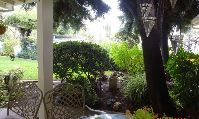 Alamo Cottage | Alamo Guesthouse Private and Secluded. Country living next to the city life.