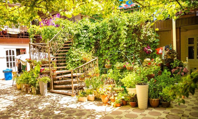 Bzhid House | Alenka