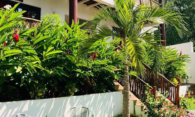 Troncones Hotel | Alfa Resort Troncones