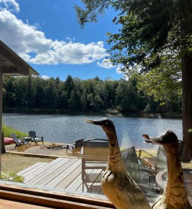 Algonquin Highlands House | Algonquin Waterfront and Winter Paradise With Sunsets