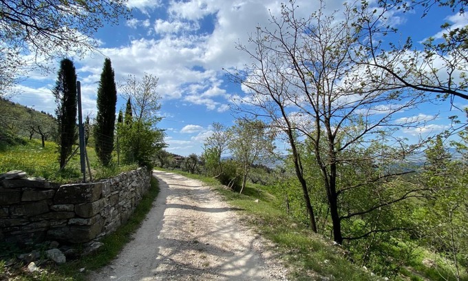 Colonnata Apartment | Allegra House - Rustic apartment in the green