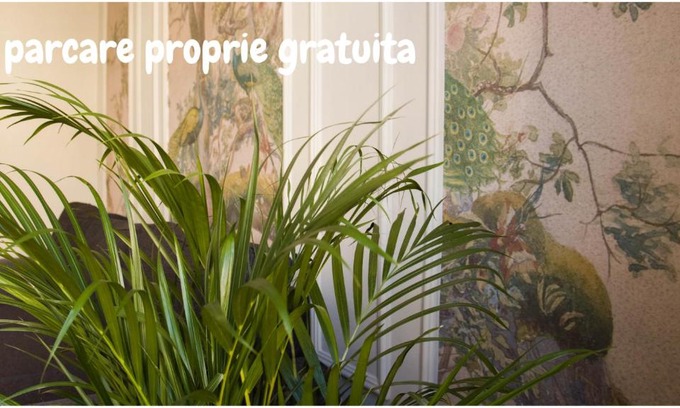 Oradea Apartment | Allegro apartments city center