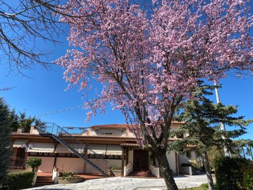 Morro Reatino House | Alloggio turistico Luigina