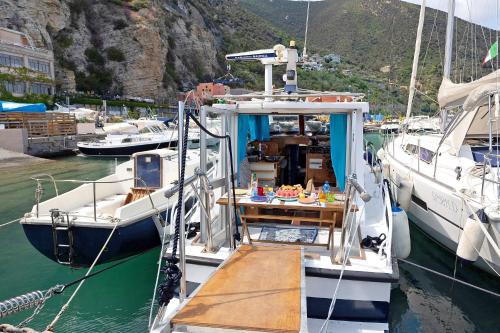 Alassio Boat Rental | Aloha Jak's Boat