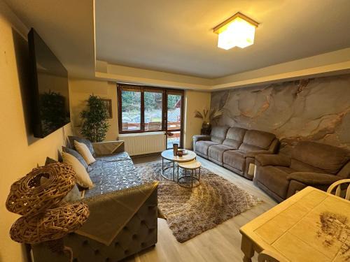 Busteni Apartment | Alsama Zurqa